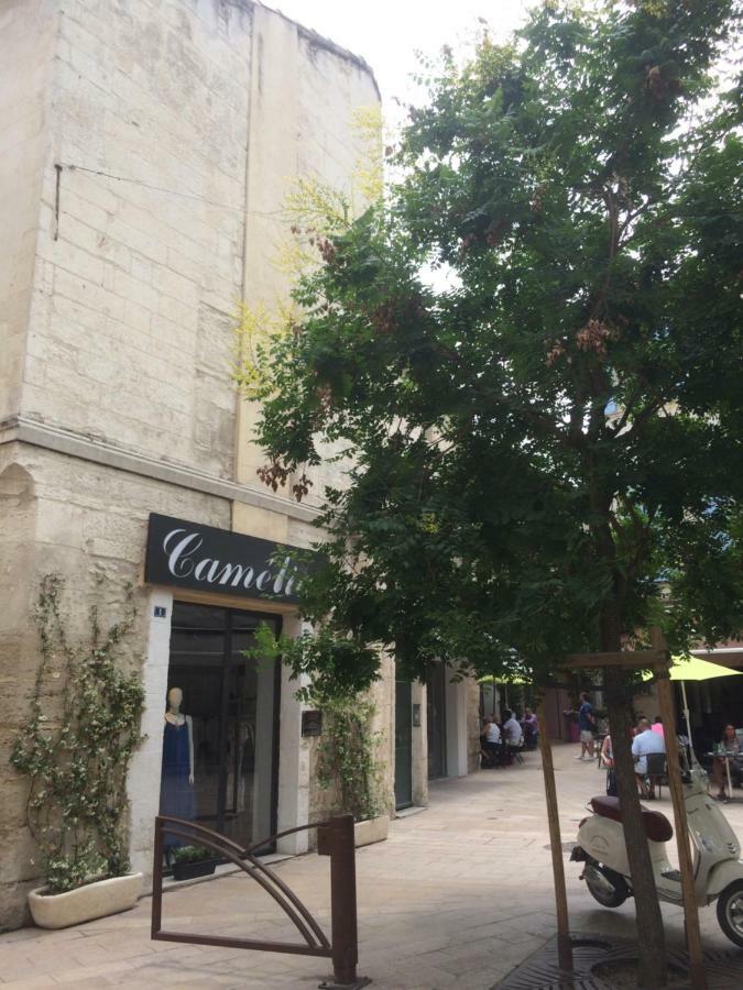 Nostradamus Apartment Saint-Rémy-de-Provence Exterior foto